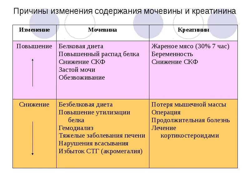 Повышение креатинина. Снижение креатинина причины. Повышенный креатинин и мочевина.