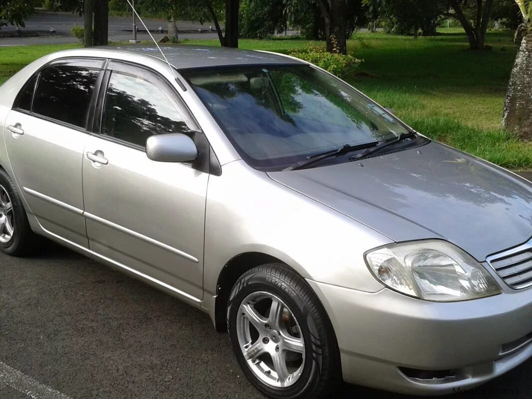 Купить короллу 2004. Тойота Королла 2004. Toyota Corolla 2004. Тойота Королла 2004 седан. Toyota Corolla 2004 седан.