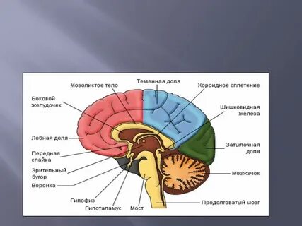 Память травма