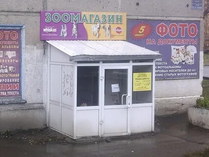 Пэт красноярск