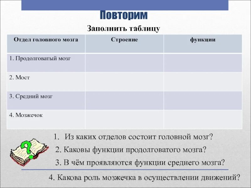 Функции среднего мозга таблица. Таблица продолговатый мозг отделы строение функции. Отдел продолговатый мозг функции таблица. Строение и функции среднего мозга таблица. Таблица строение и функции отделов головного мозга человека.