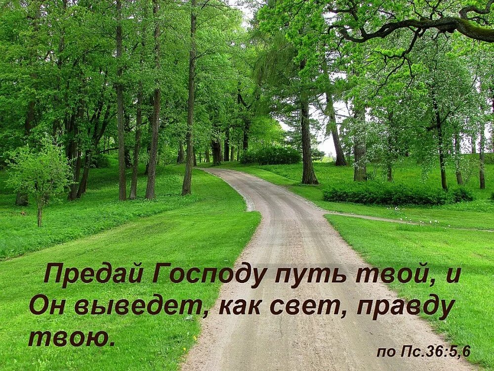 Хранит тебя господь. Дорогие господа. Дорогой господа. Предай господу путь твой. Цитаты про благодарность богу.