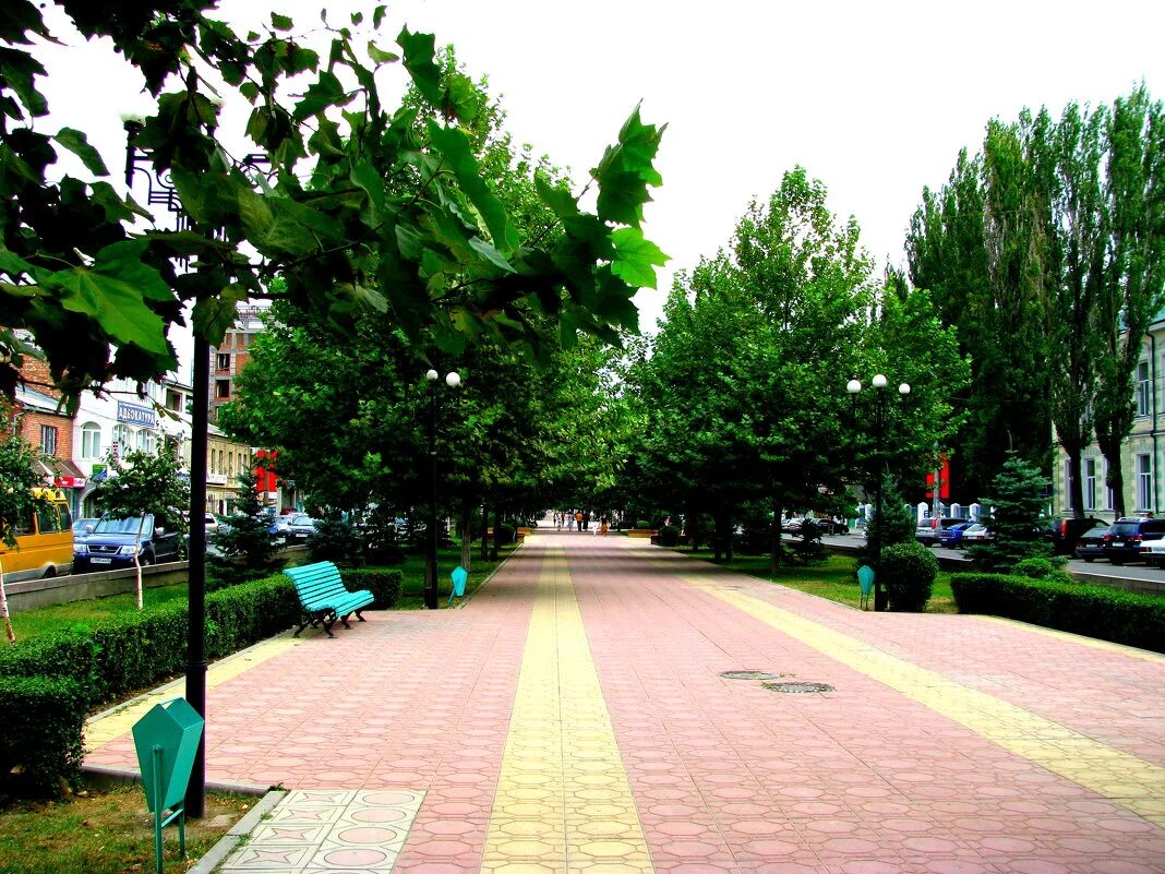 парк фазу алиевой махачкала. аллея дружбы махачкала. махачкала парк комсомольский парк. кристалл сити махачкала парк. комсомольский парк махачкала.