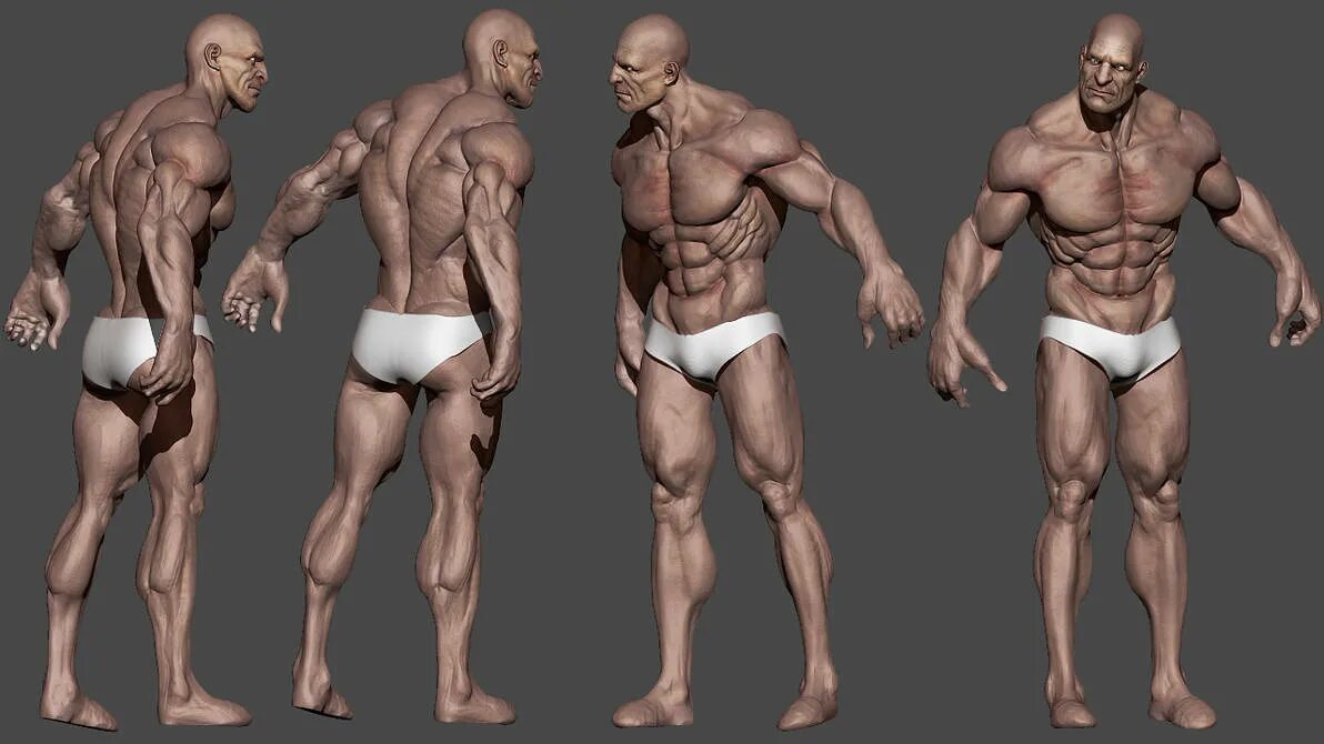 Бодибилдер анатомия референс. Персонаж со всем ракурсов. Реалистичные 3d модели людей. Игровая модель человека.