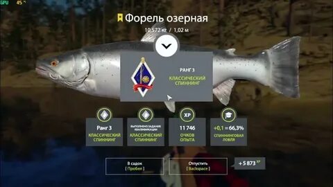 Куори рр4 форель