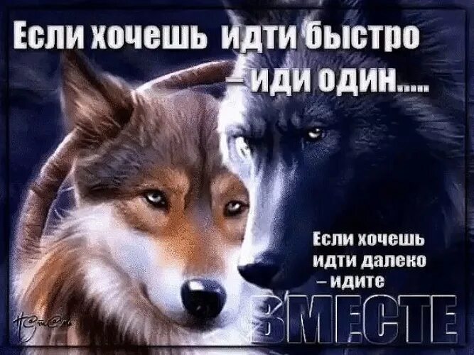 Ходи как хочешь