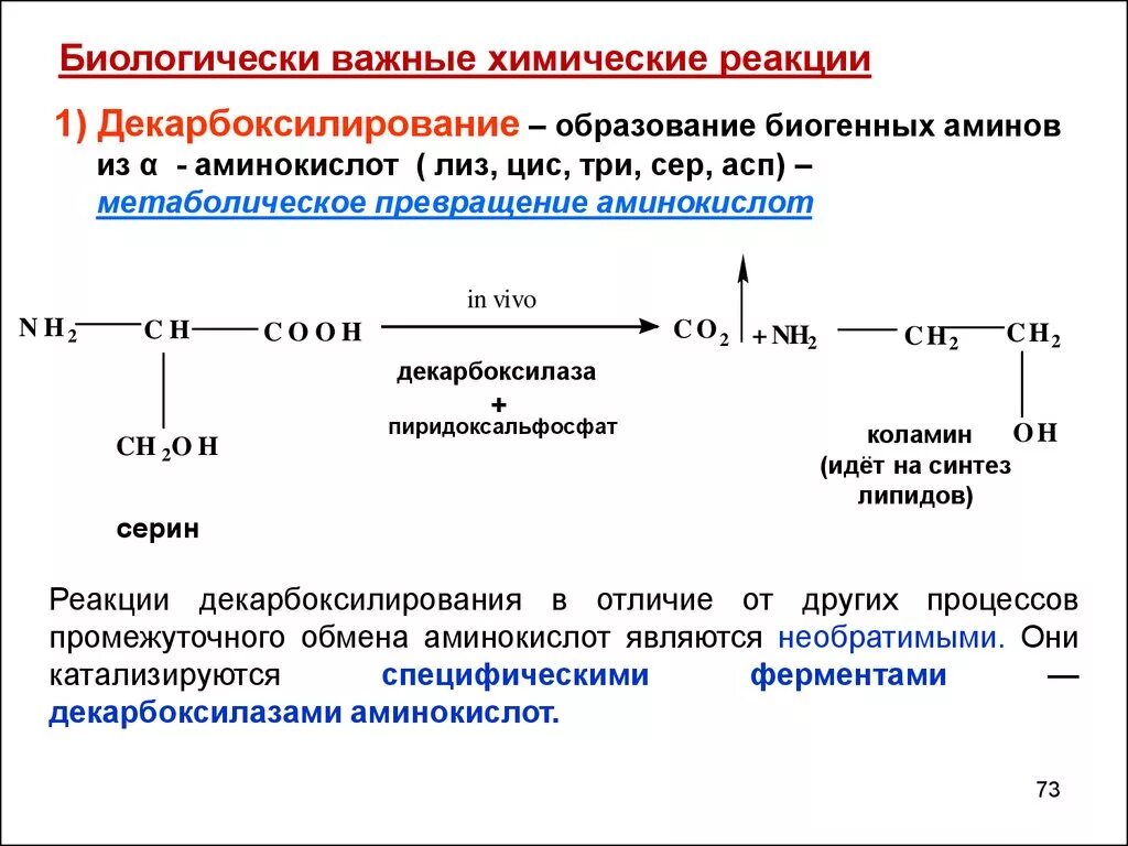 Реакция в результате которой образуется новое. Декарбоксилирование аминокислот биогенные Амины. Образование биогенных Аминов серин. Реакция декарбоксилирования -аминокислоты приводит к образованию. Механизм реакции декарбоксилирования.