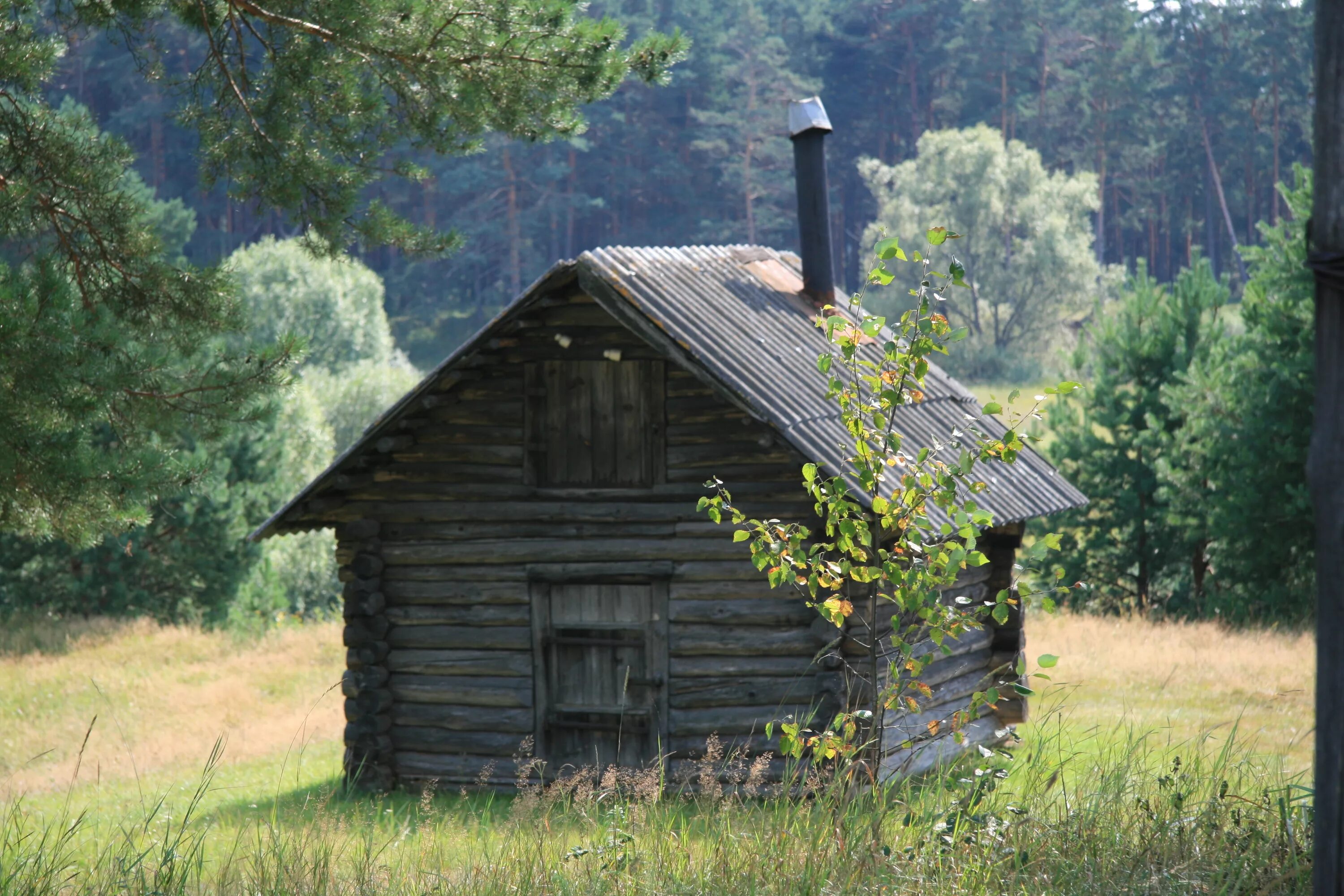 Баня (село). Деревенская баня. Красивые бани. Старая деревенская баня. Старинные бани.
