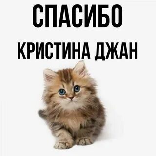 Привет кристин