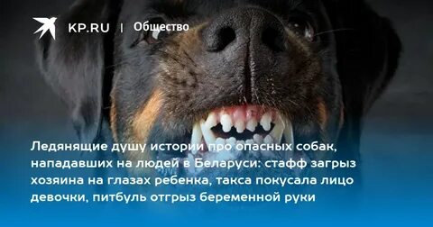 Ледянить