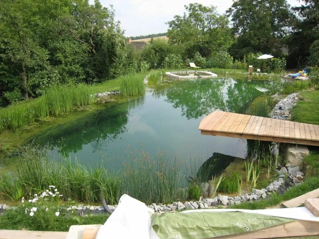 Сток бассейна озер. Плавательный биопруд. Плавательный пруд с биоплато. Лягушатник пруд бассейн. Озеро в саду.