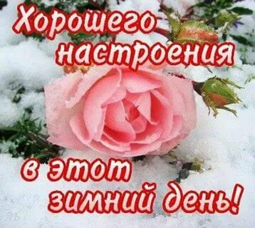 Доброго дня и прекрасного настроения картинки зимние