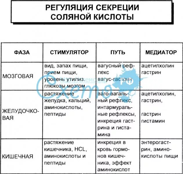Секреции соляной кислоты. Регуляция секреции соляной кислоты париетальной клеткой. схема регуляции секреции соляной кислоты. принципы регуляции секреции соляной кислоты. регуляция секреции соляной кислоты в желудке.