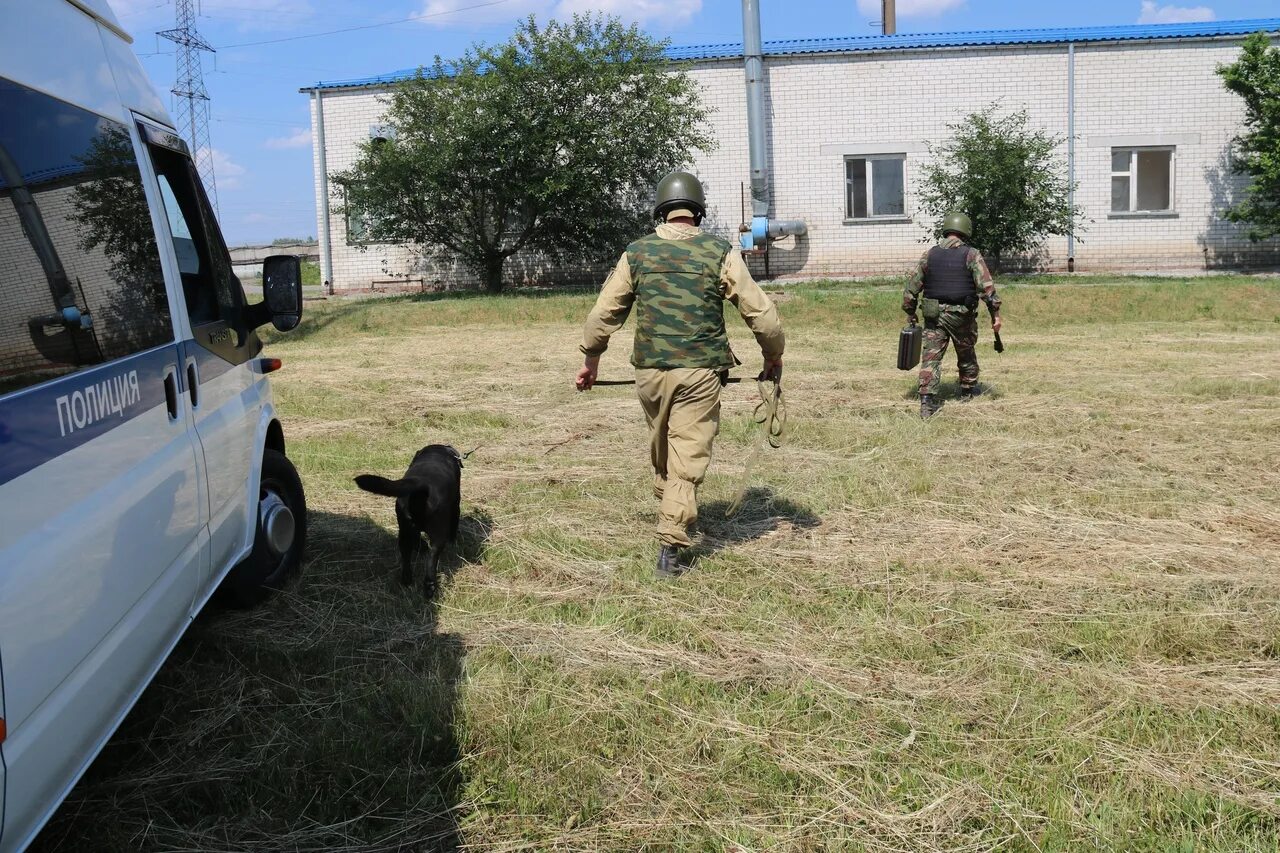 Дрг в брянской области сегодня