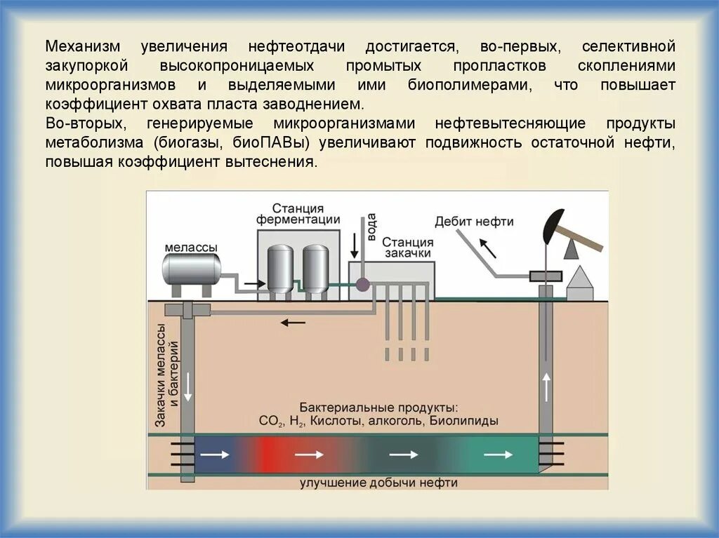 Повышение воды горячей. Микробиологические методы увеличения нефтеотдачи пластов. Микробиологическое воздействие на пласт для повышения нефтеотдачи. Повышение нефтеотдачи пластов микробиологический. Методы увеличения нефтеотдачи схема.