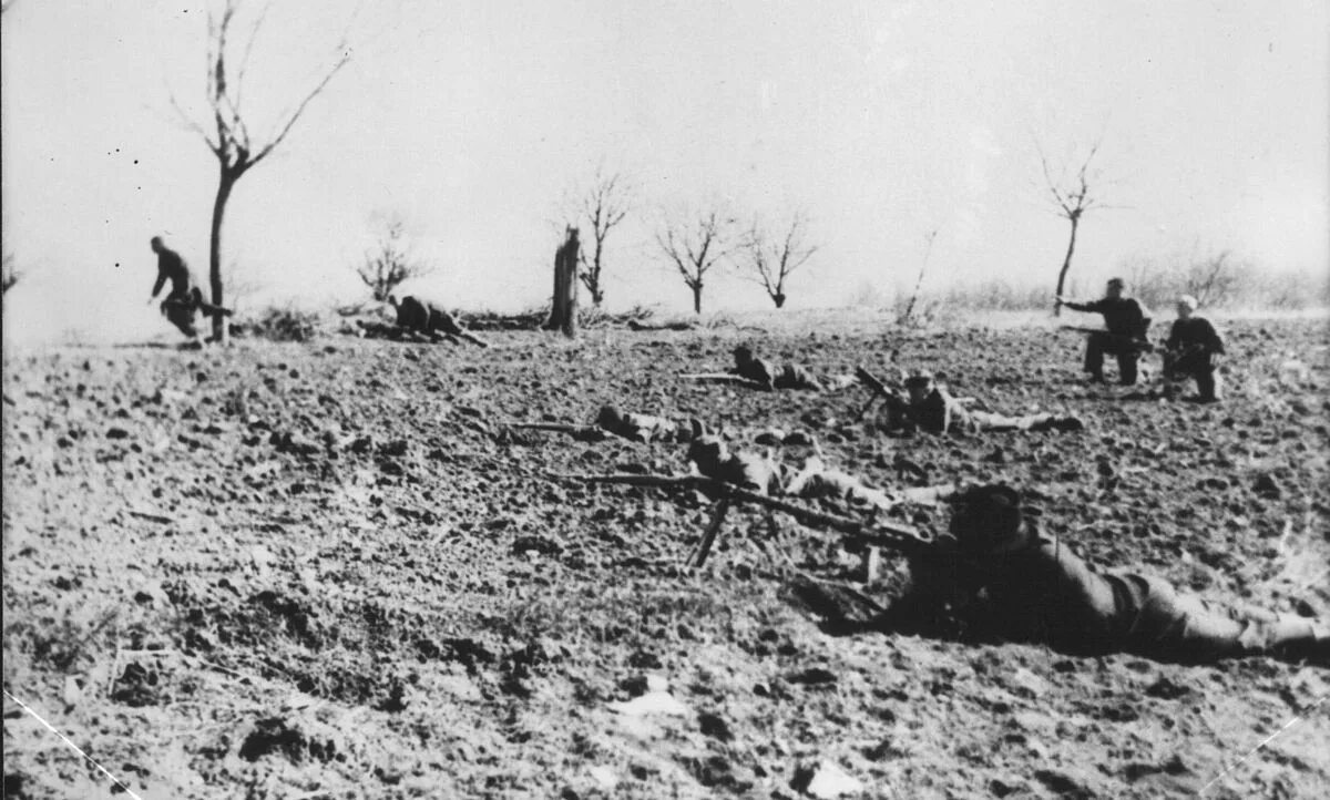 Плацдарм 3. Киришский плацдарм 1941_1943 карта. Букринский плацдарм на карте. Воронежская обл. Плацдарм 3.