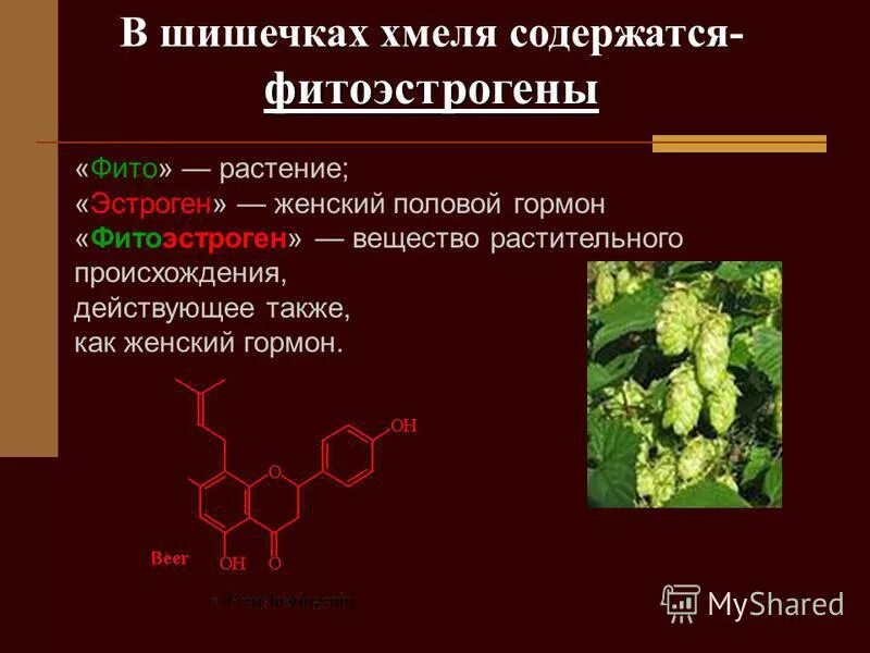 Источник эстрогенов. Фитоэстрогены. Гормоны растительного происхождения. Фитоэстрогены для женщин. Женские гормоны растительного происхождения.