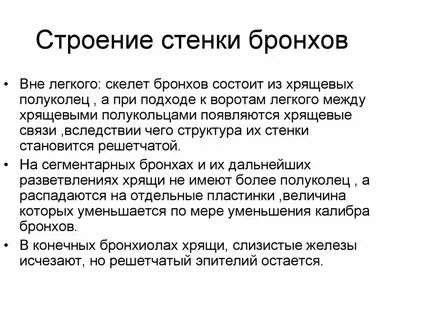 Стенки бронхов
