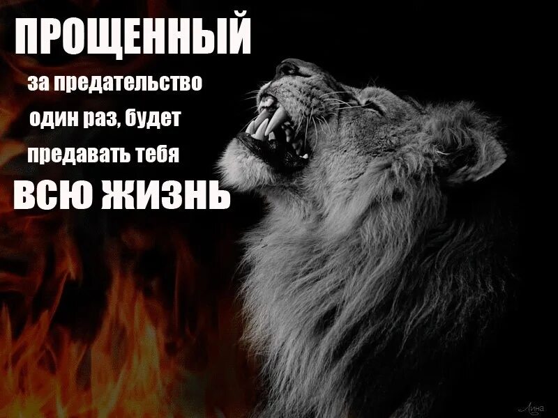 Предательство 59. Когда тебя предали. Когда тебя предали один раз. Если тебя предали один раз. Простить за предательство.