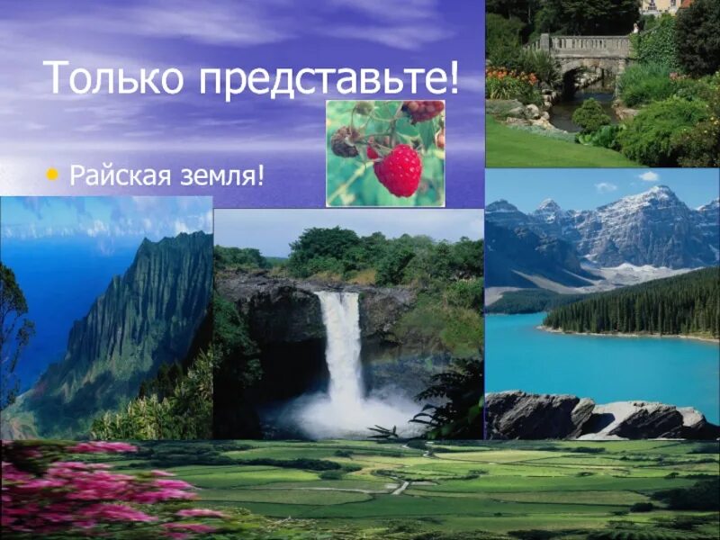 Песню райская земля. Райская земля. райская земля картинки. райские условия картинки. новый мир картинки свидетелей иеговы.