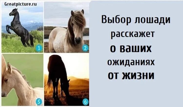 Конь выберите
