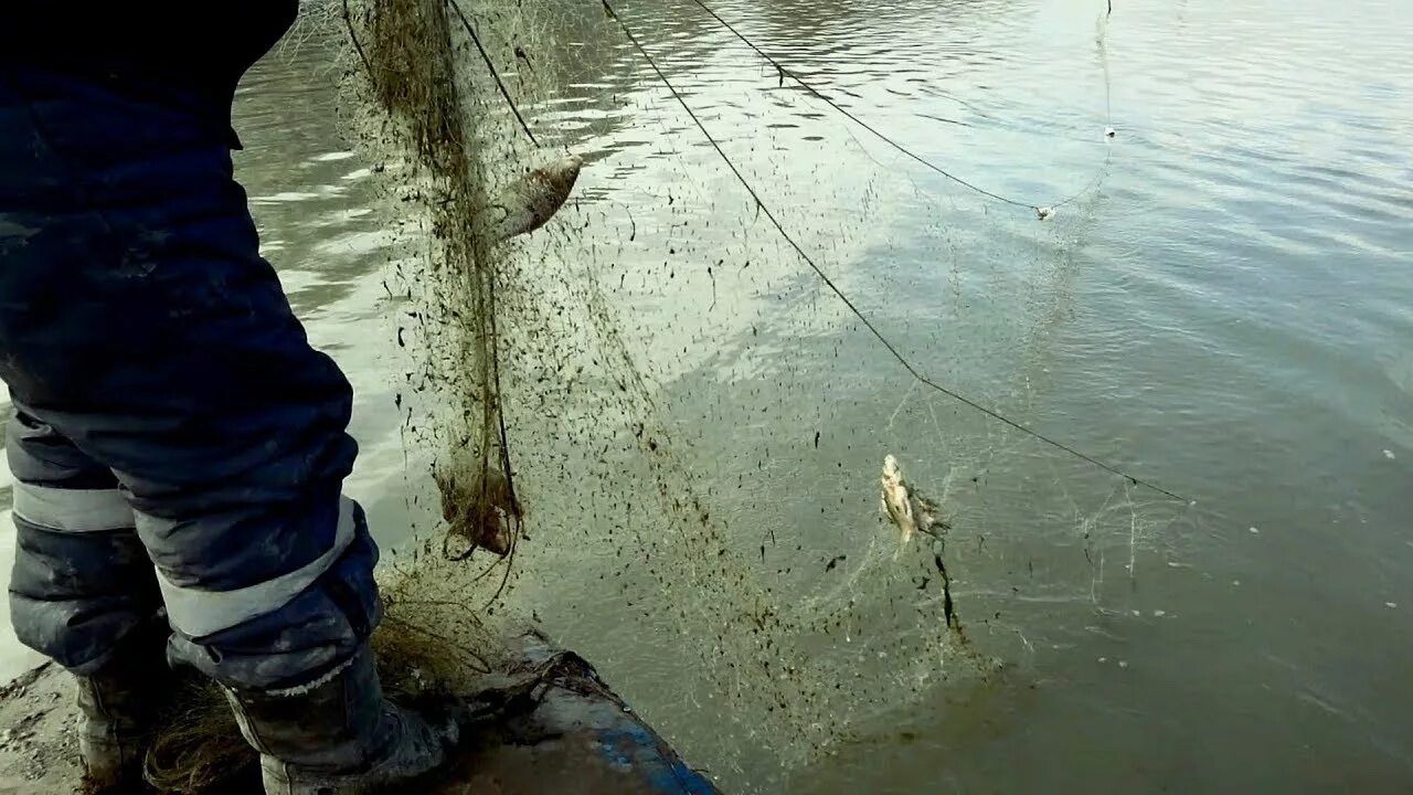Рыбалка сетью на реке. Сеть рек. Сеть на речке. Рыбалка на реке Терек. Сеть для горной реки.