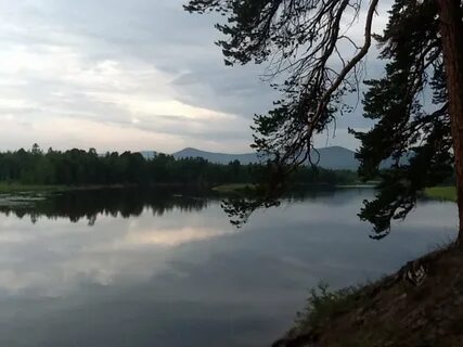 Таежная озерная степная