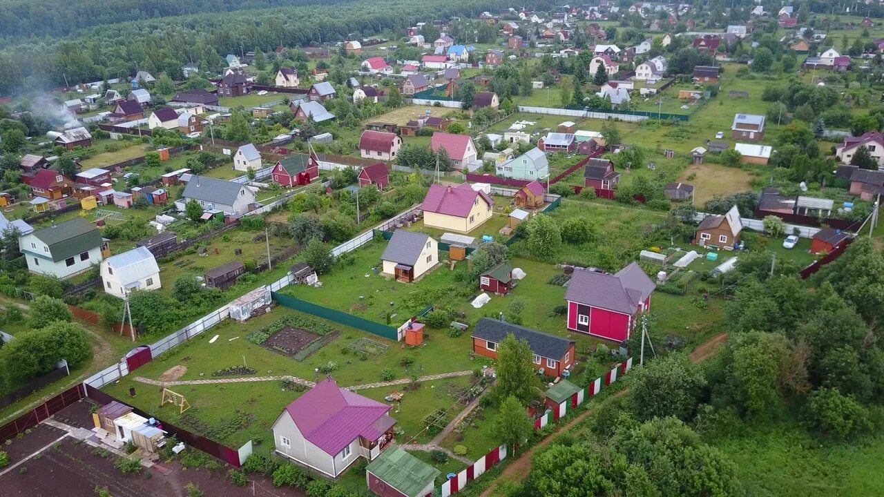 Дача. О дачных садоводческих. О дачных садоводческих. Ухоженный огород. Сад на даче.