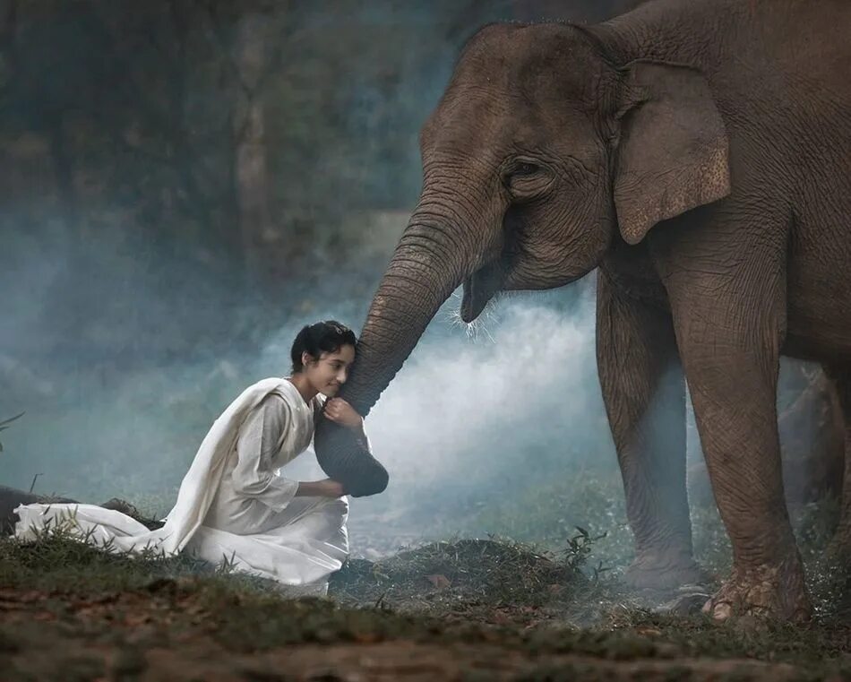 An elephant can t fly. Рариндра Пракарса. Грегори Колберт слон. Грегори Колберт фотоработы. Дружба со слоном.