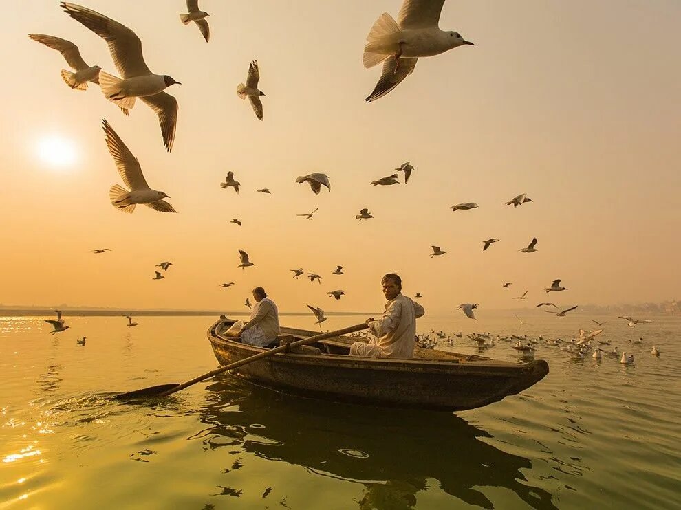 Невероятное желание. Миграция птиц. Нежность птиц. National Geographic foto Days. National Geographic журнал лучшие фото окно и море.