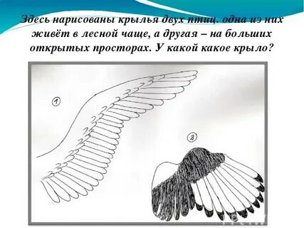 Песня я нарисую крылья