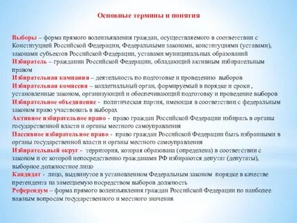 Виды выборов и их особенности