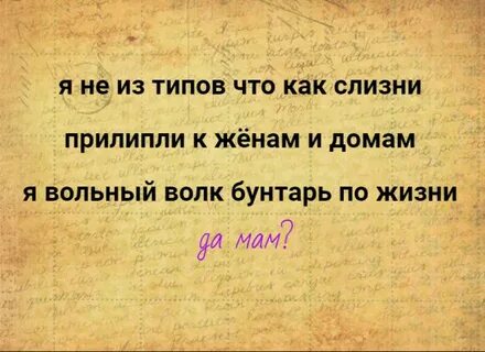 Я волк да мам