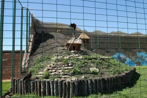 Ряжский зоопарк