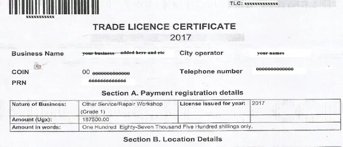 Commercial license. Trade License Dubai. Trade License UAE. Professional License Дубай. Commercial License Dubai.