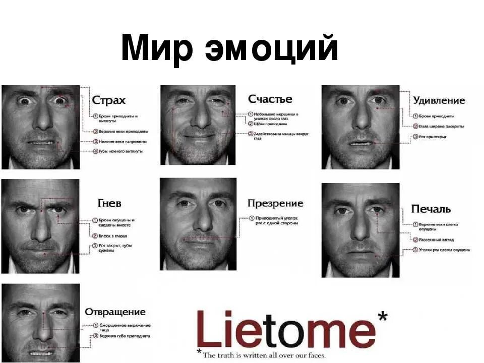 Жесты и мимика виды