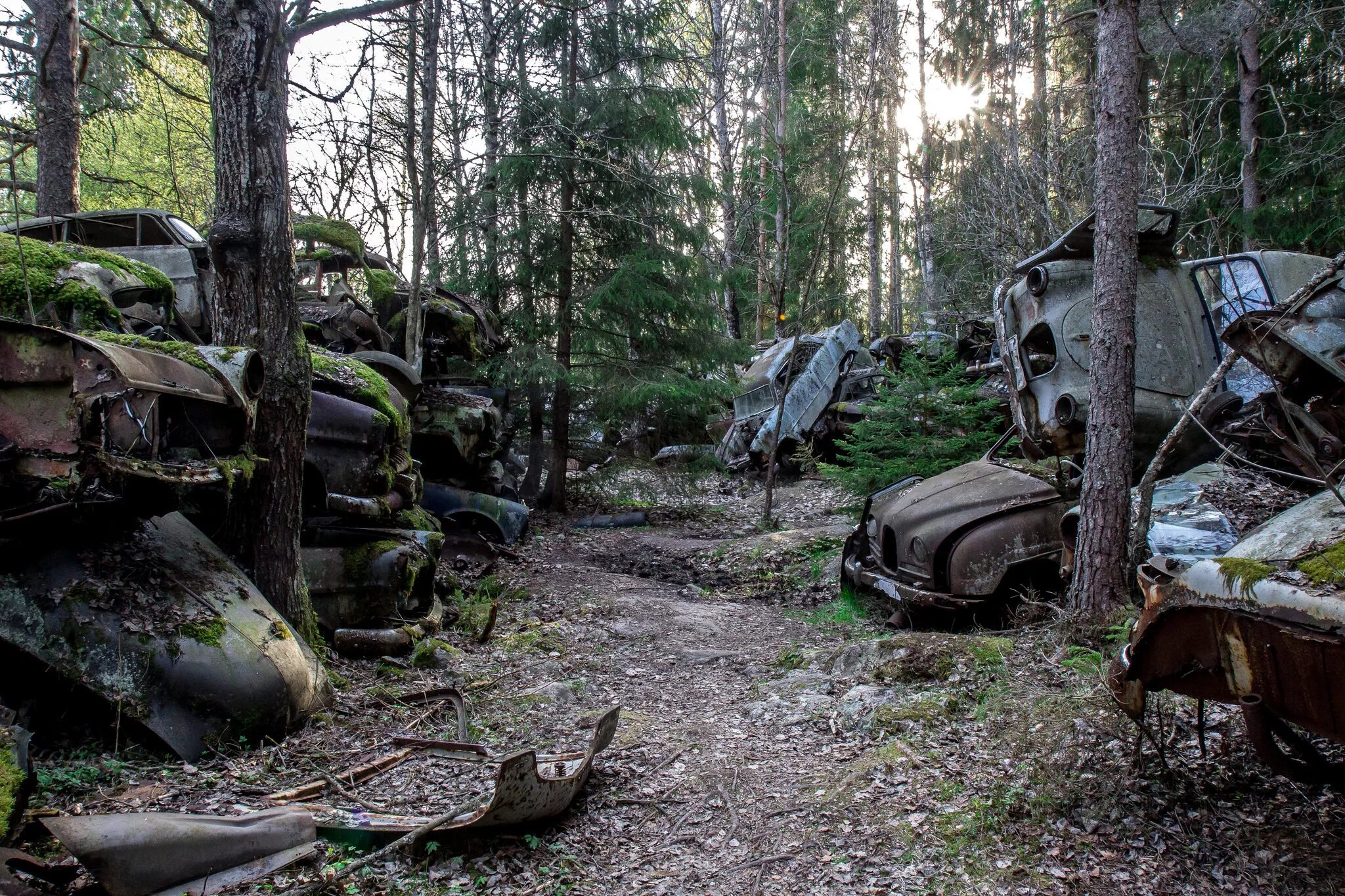 Отработка в брошенном лесу. Загрязнение бутылками в лесу. Русалка наводит порядок. Верховья реки китой фото. Лесосечные отходы.