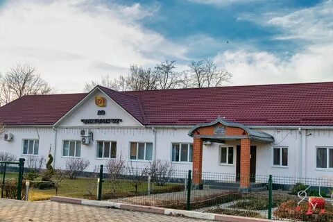 Погода найдорф