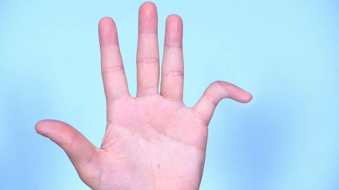 21 fingers. 21 fingers