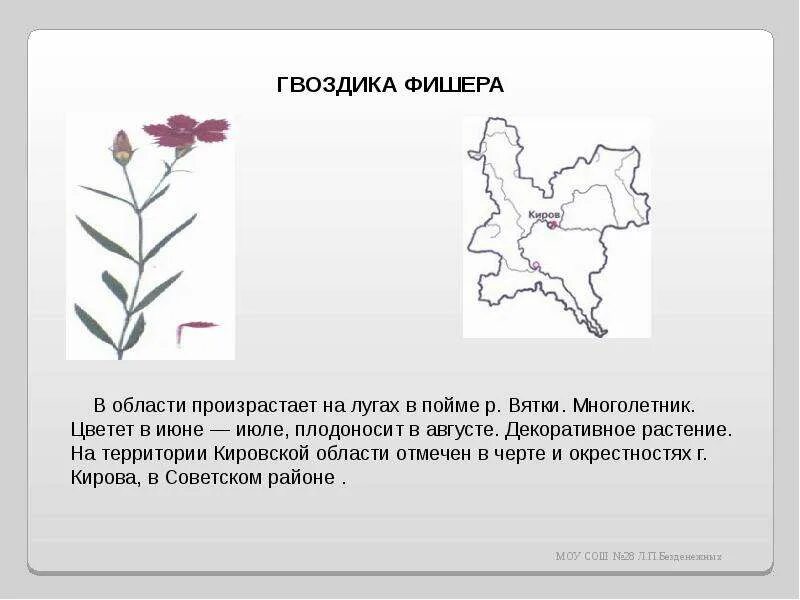 Красная книга кировской области проект 4 класс Скачать презентацию для класса Редкие животные нашего края бесплатно