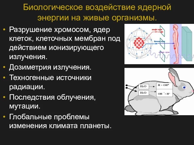 Действия радиоактивных излучений на живые организмы. Влияние радиационных излучений на живые организмы. Биологическое воздействие радиации на организм. Воздействие радиационного излучения на живые организмы. Действие радиации презентация