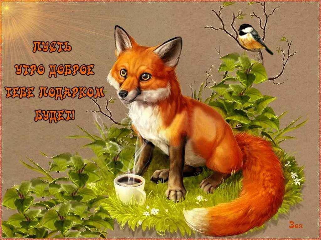 Доброе утро лис картинки. Доброе утро лисичка. с добрым утром лиса. доброе утро лисенок. с добрым утром лисичка.