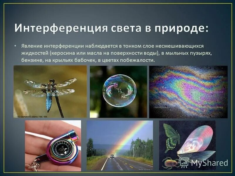 Интерференция 9 класс видеоурок. Интерференция примеры. Явление интерференции. Интерференция света. Явление интерференции в природе.