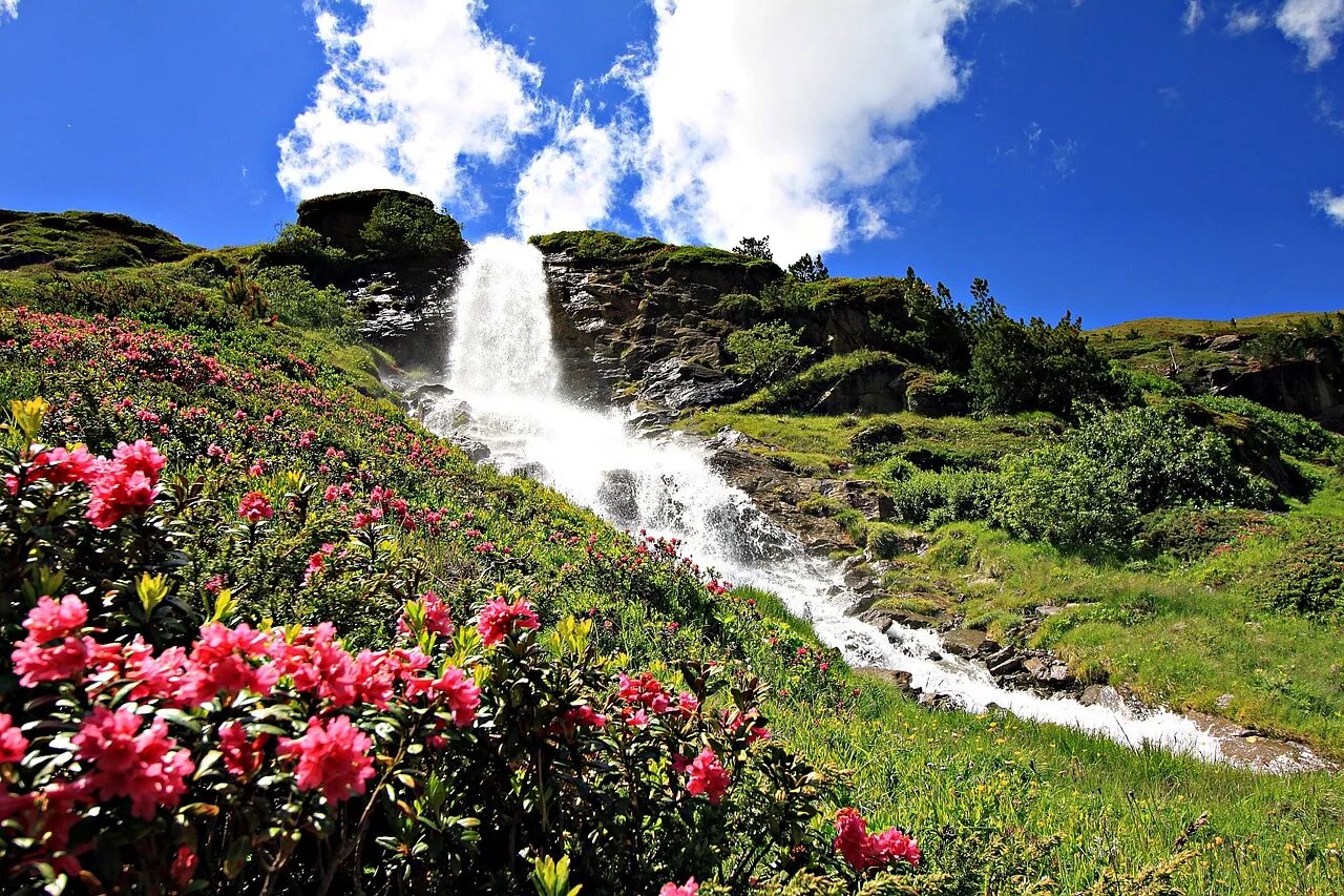 Альпийский водопад. Природа горы цветы водопад. Водопад цветы. Водопад с цветами. Горы вода цветы.