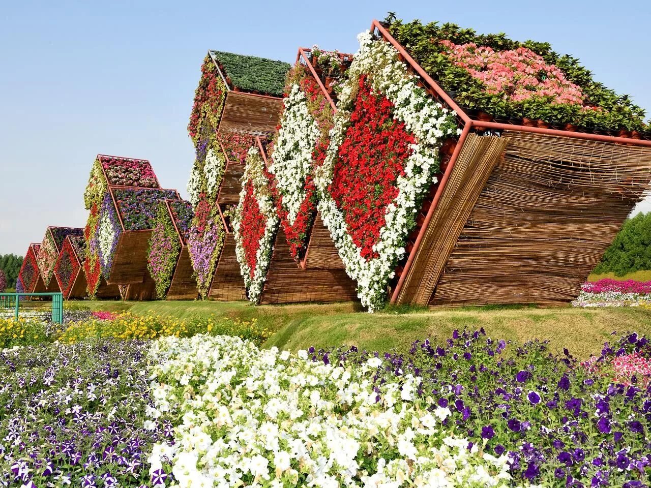 Flowers paradise. Сад чудес в Дубае. Miracle Garden Дубай. Сад чудес (Miracle Garden). Клумба Цветочная Дубай.