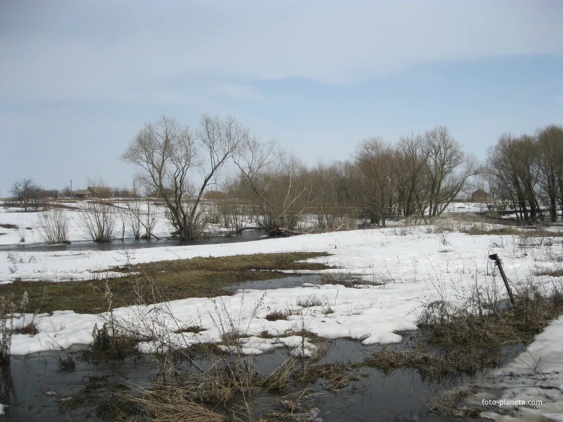 Село Колычево Саратовской области Турковский район. Село Каменка Турковского района Саратовской области. Село Львовка Турковский район. Львовка Саратовская область.