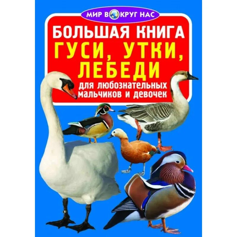 сказка лагерлеф путешествие нильса. поздравления с днём рождения гуся. книги про гусей для детей. книга на обложке гусь. гусь в литературе.