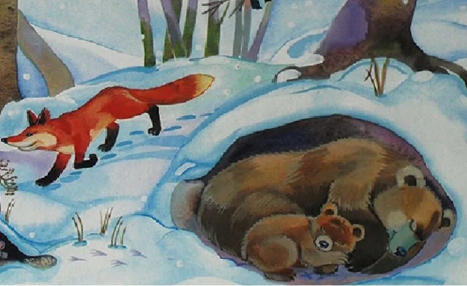 Медведь в берлоге зима. Медведь в берлоге зимой для детей. Спящий мишка в берлоге