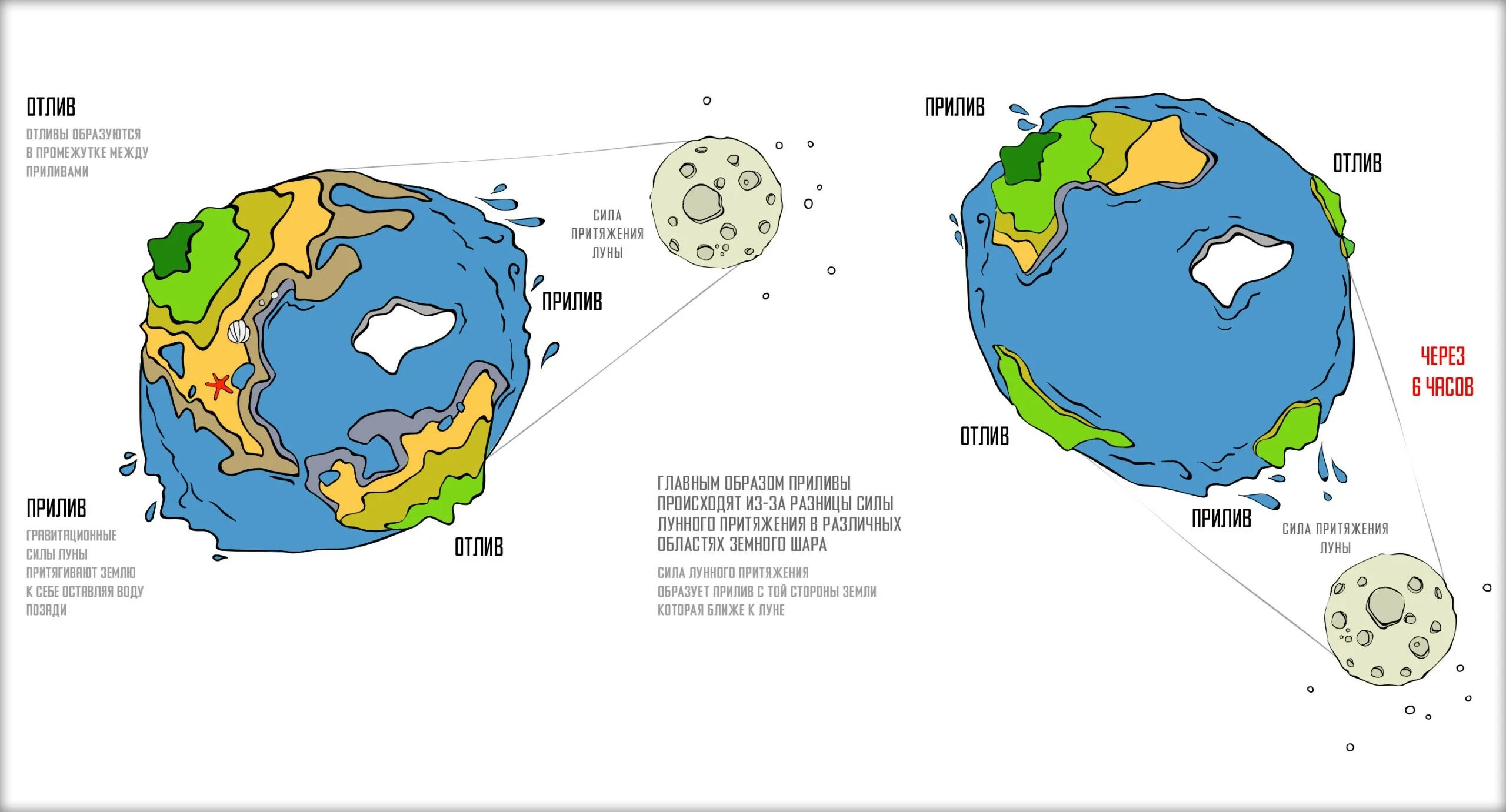 Земля Луна отлив прилив схема. Приливы и отливы Луна схема. Схема образования приливов и отливов. Приливы и отливы влияние Луны схема. Притяжение воды в океанах луной
