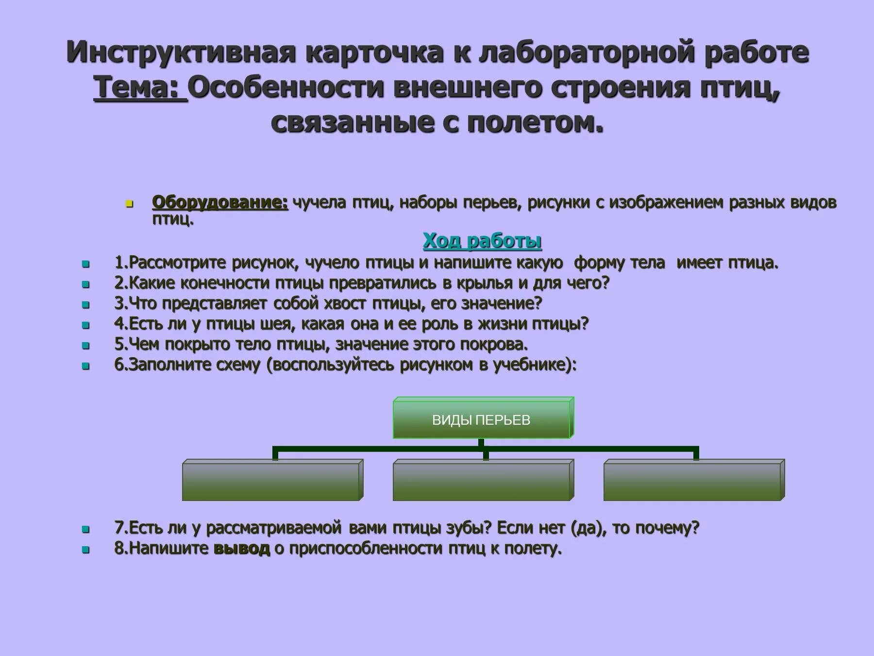 Лабораторная работа внешная строения птицы. Лабораторная работа внешнее строение птиц. Строение птиц связанные с полетом лабораторная работа. Лабораторная работа по биологии внешнее строение птицы.